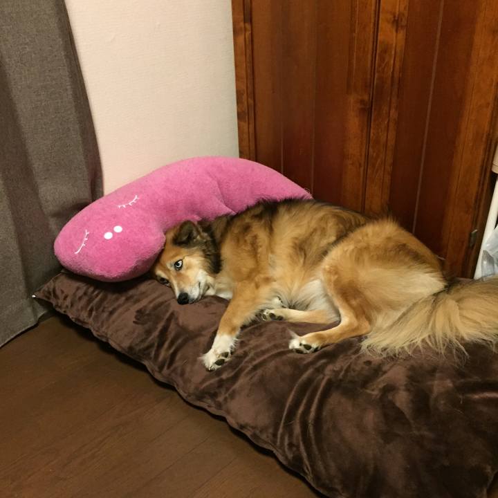 4c832442 1cb5 40b1 afa3 afa05876fe9a