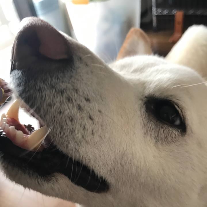 4c835869 4ca0 4199 9de3 93c5e61fd5b6