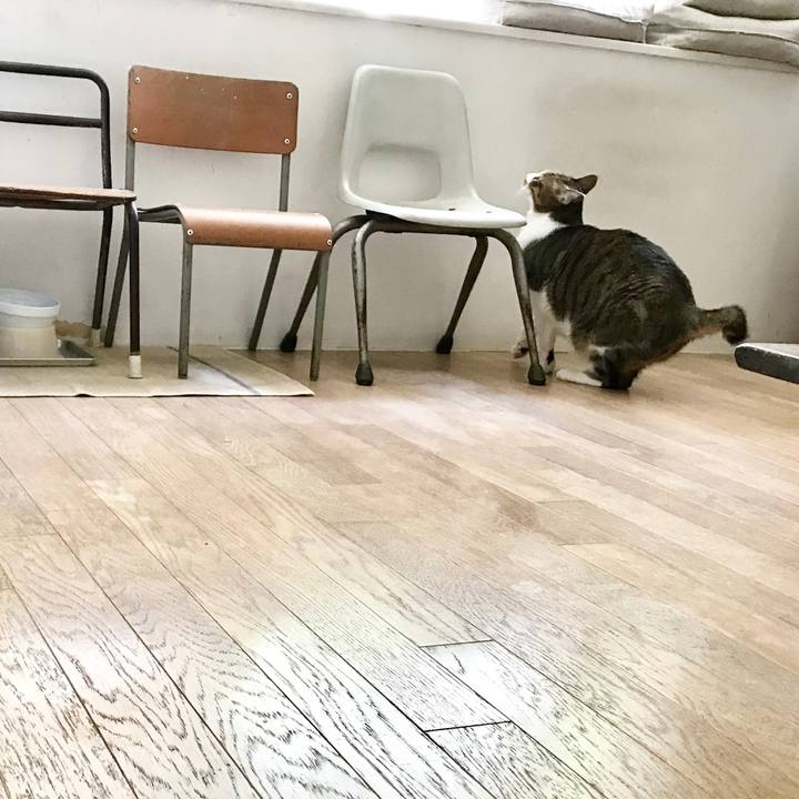 4c839952 13f7 4390 95af 1cfcf70d1fad