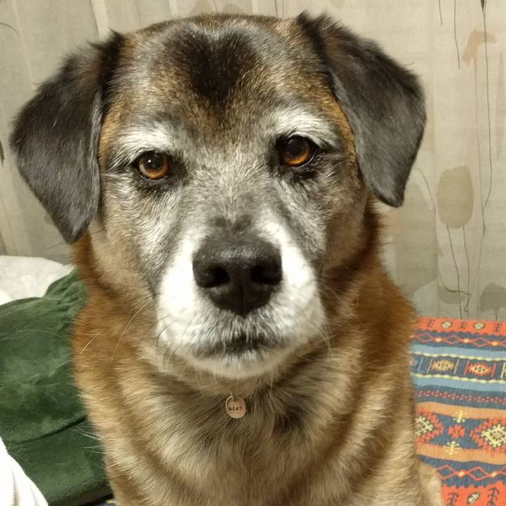 4c84336a 62d2 48d3 ab81 84107e3dffc8