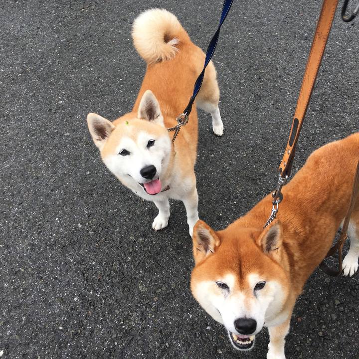 4c84fbe4 ecf9 45eb bab4 e4d02eed1cf2