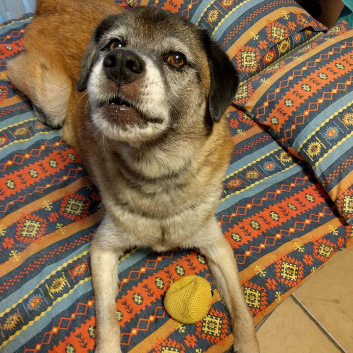 4c8560b3 f2cf 4046 b718 8839c793a2fd