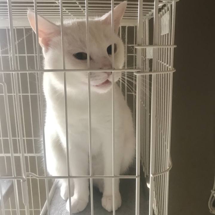 4c856a63 9fcd 4ef3 a374 94947aacc00a