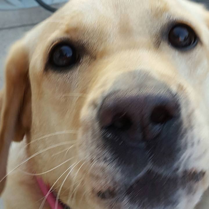 4c8653d9 b296 4b6c adc5 bf62fa85f82b