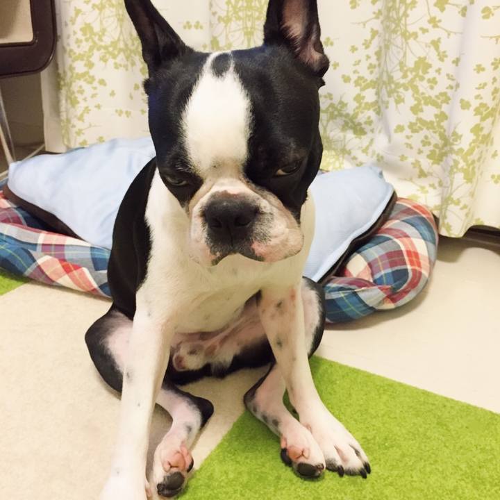 4c8655ee 8189 4d13 bfa8 5e2814aa3475