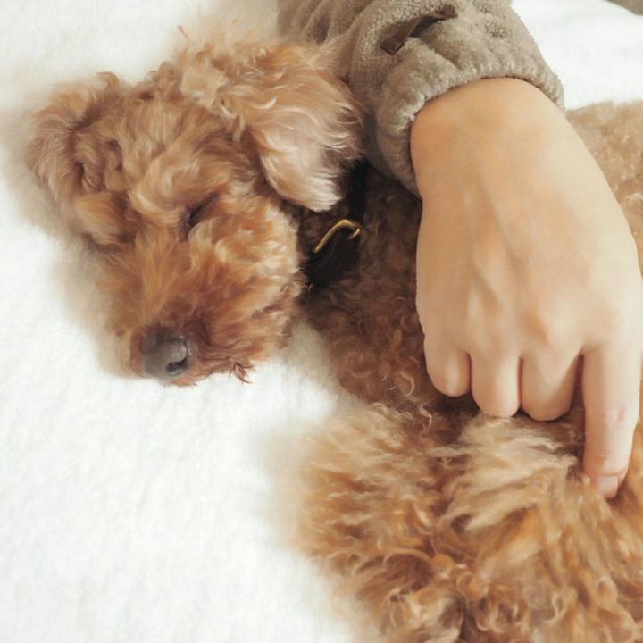 4c86d621 e266 4f4d 8926 bfdf0de278c3