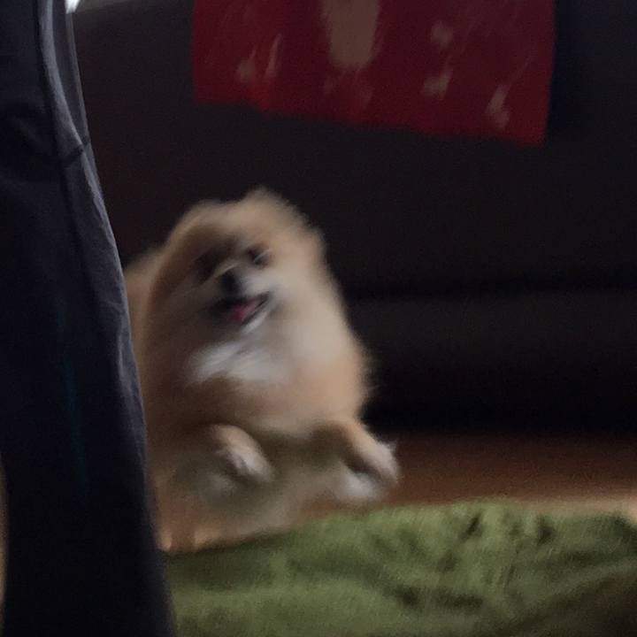 4c878c34 93af 4291 9bed 35628febc996