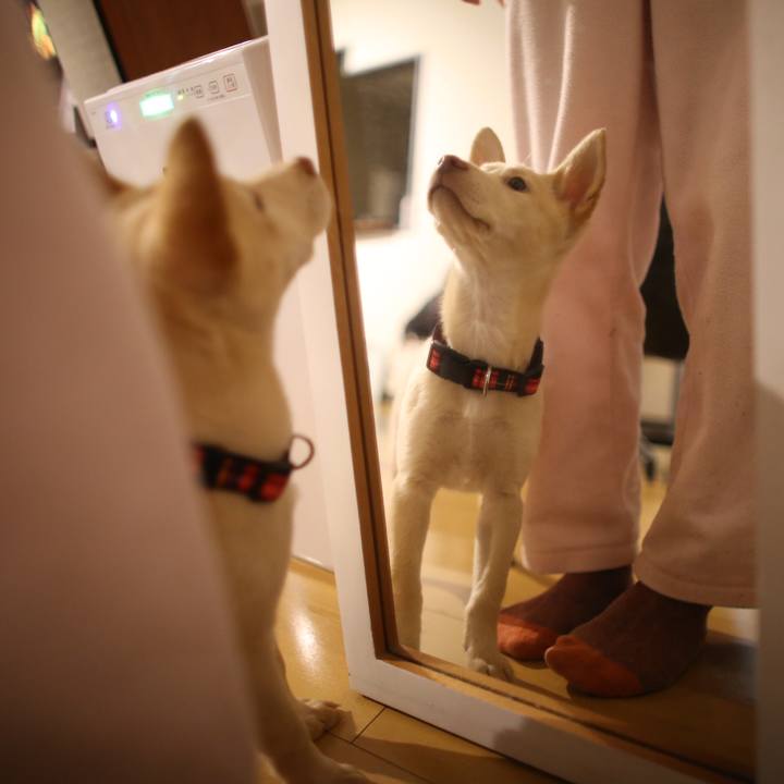 4c890765 3e24 42e7 a613 fdb3abc37034