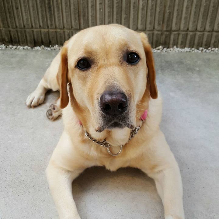 4c89c3a4 900c 4115 acdc 478b6e44304d