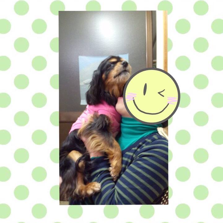 4c8a9d5a d4c6 4c74 9454 7538a63d9018