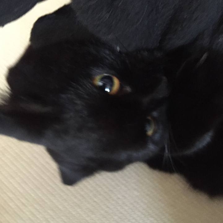 4c8aa5cf dfd7 4742 85c1 88064fa474b5