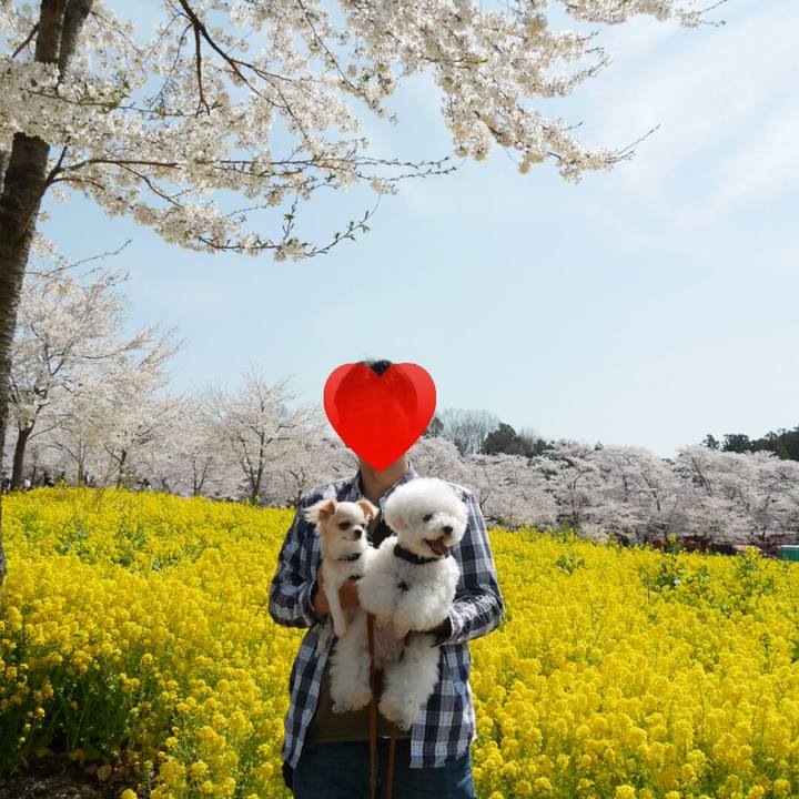 4c8ba1ff 1d48 48f8 a4a6 f63ae1e59c80