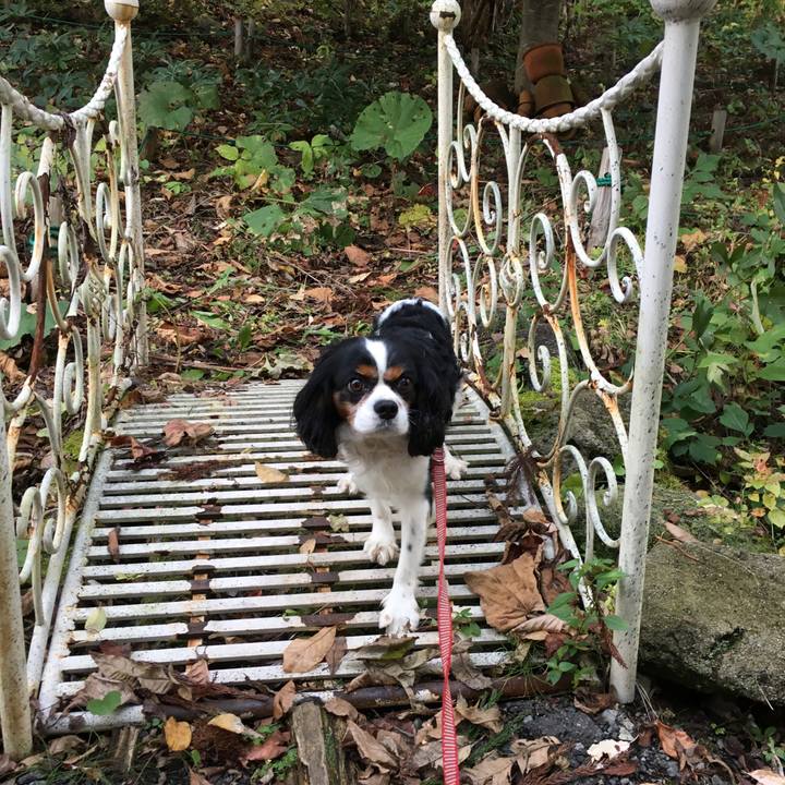 4c8bb7dd 143c 4bb8 b4c6 63e2e040bfb8