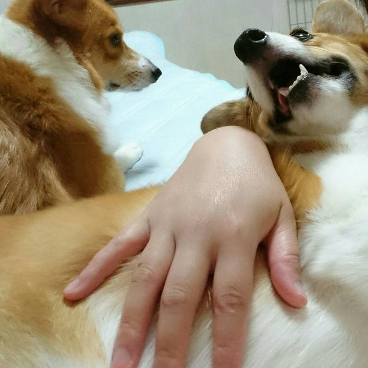 4c8beebf 4bc6 4ff1 a4ef f5bea2809cfd