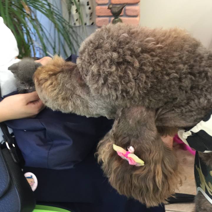 4c8c9a91 7948 4869 8fe9 9805378ce994