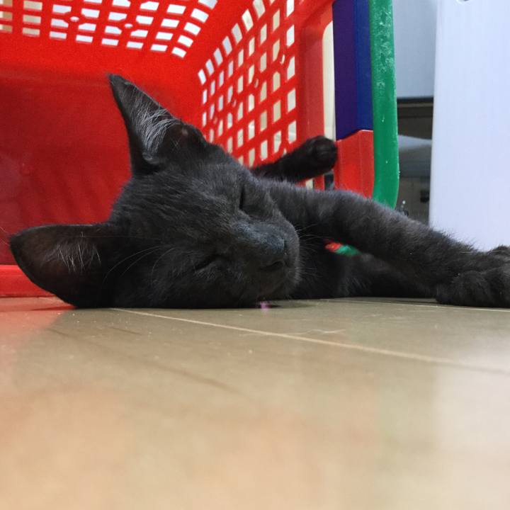 4c8cc41f 1ede 47d9 9e83 57e729b51d44