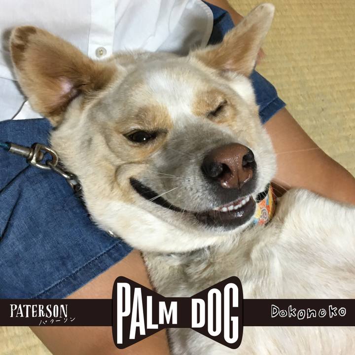 4c8ce8b5 2456 4cee 9d2a b01c7fc53f72