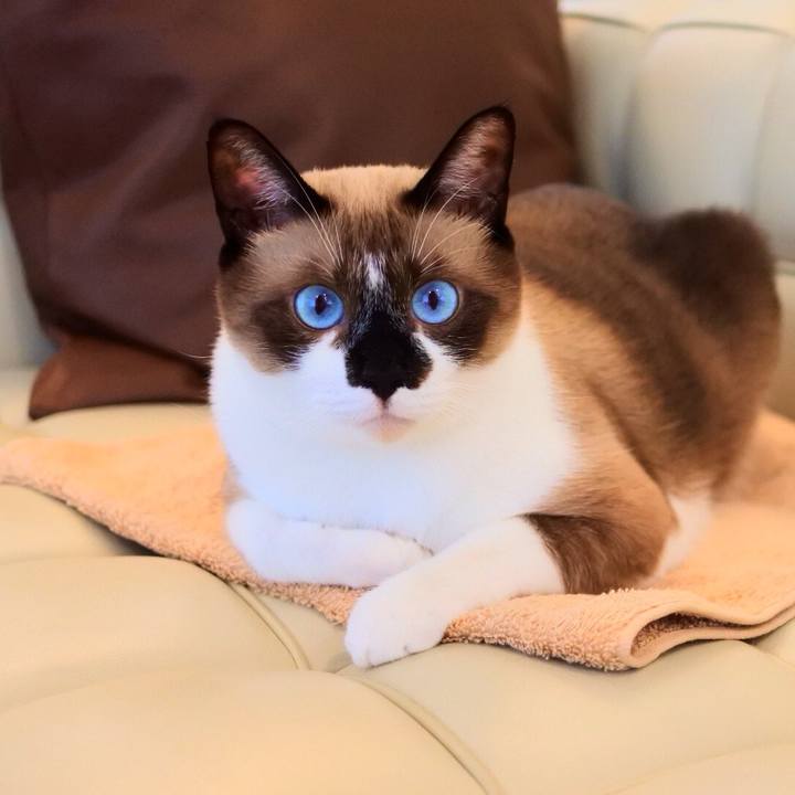 4c8d0eec ecc8 470c 8f8a cd99deabb869