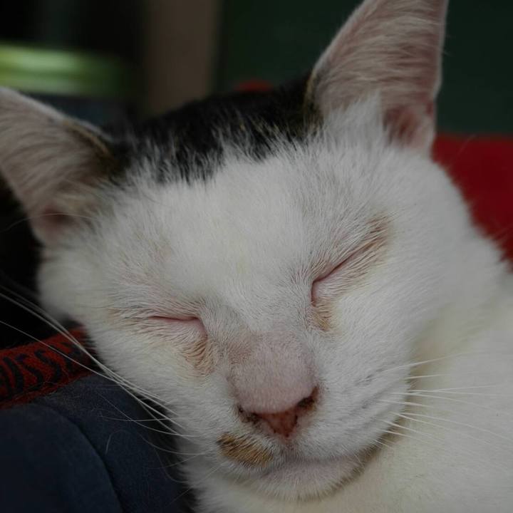 4c8d39fd a560 431c 9fa2 456ed3370150