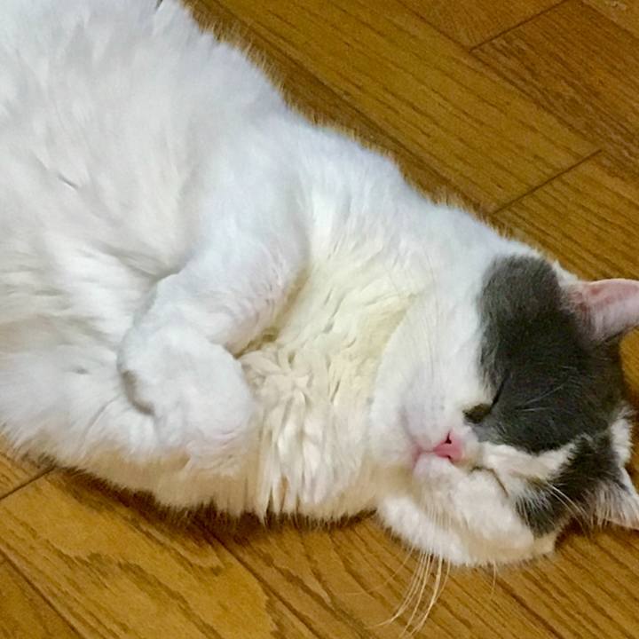 4c8dc0da e3b3 42d4 a0ea 573716b333b7