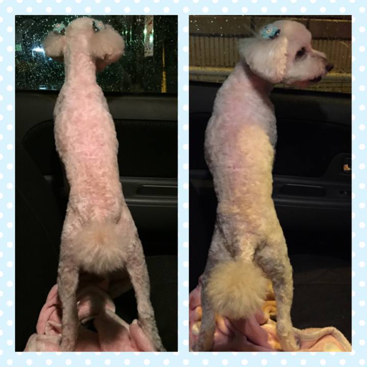 4c8e012f 0012 4c6a be7b b50cd6daeb72