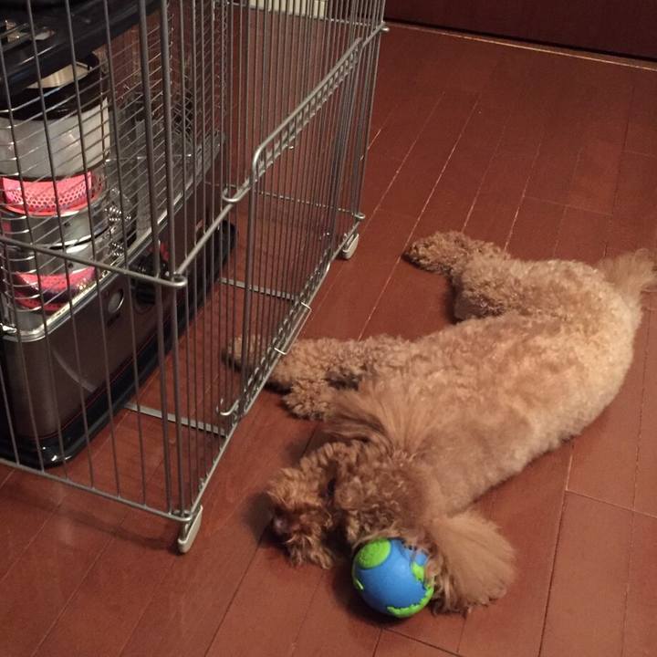 4c8e182e b617 4596 a901 7d20ca808ef0