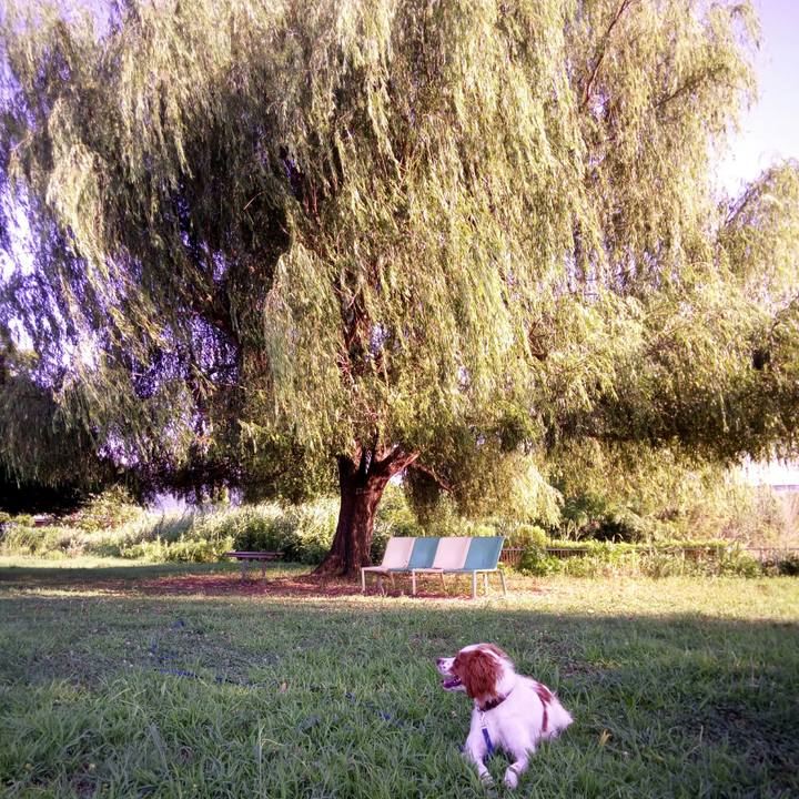 4c8e3623 fa7a 4e03 9a92 59ca798bd32b