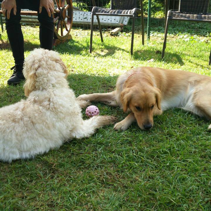 4c8eb57a 8814 4a43 8818 a480e673b583