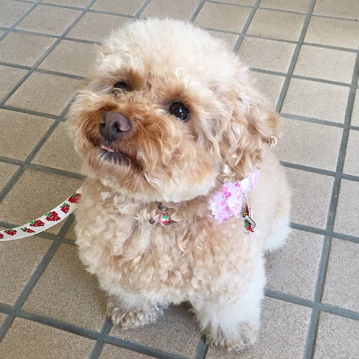 4c8f304a 7f3a 43fb 936f 2ccdae7fb3f7