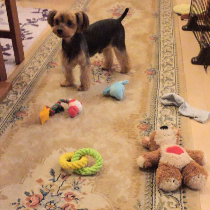 4c8f9c0d 4aea 4f0f 8764 6583527bc6ba