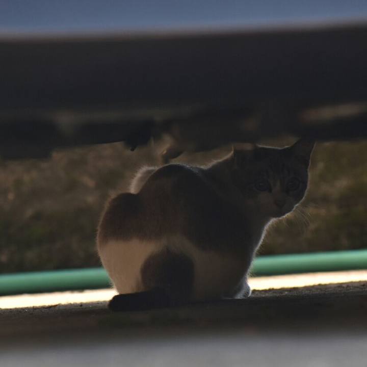 4c900148 3965 49fa 992d e764aaabf8b4