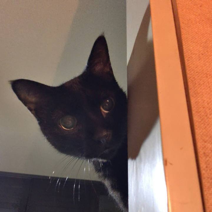 4c904b9b c079 4cf0 a038 2b36bf04a8af