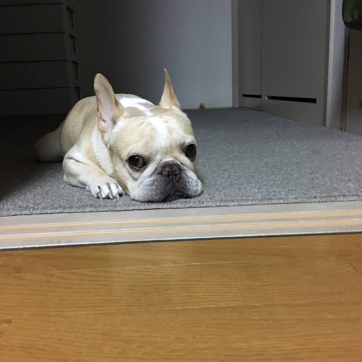 4c90c85c 4698 46a3 a2ea ac69248aeff3