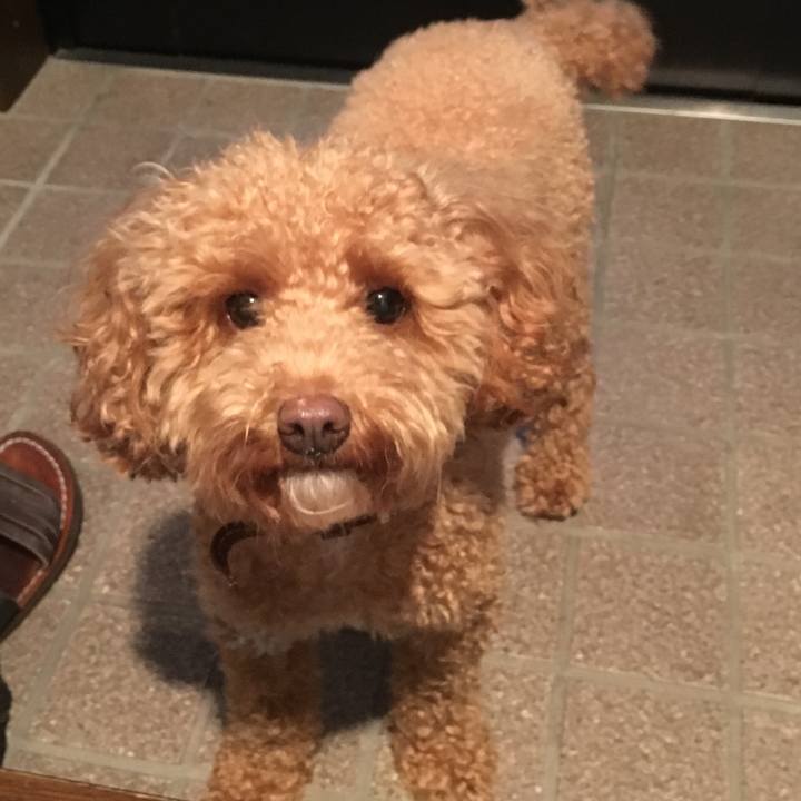 4c90d7b0 6071 4e96 b490 0b45fc27f24b