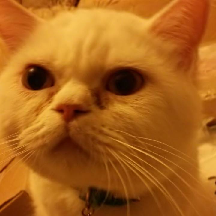 4c90e927 c726 4027 a005 77b22965b90c