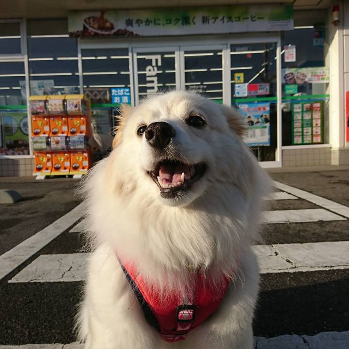 4c911fa7 3c0c 4eb8 85d6 03ca53daf627