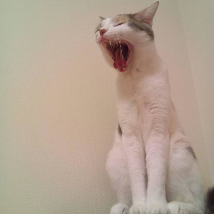 4c920ad7 8a9a 4c0d b2ed fc6767f85e44