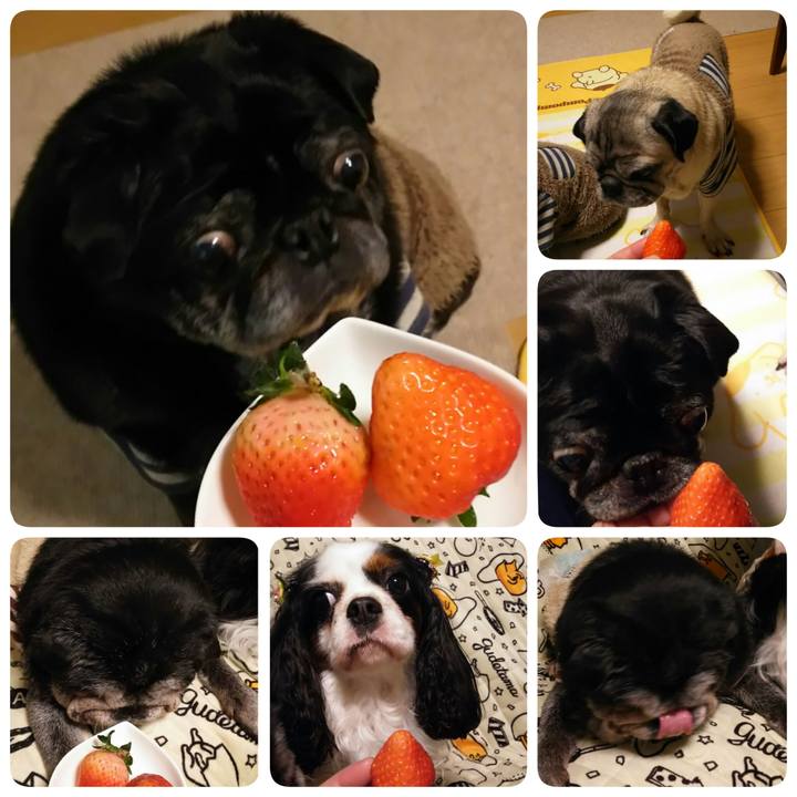 4c924057 8bc0 47b7 94e2 258ecb5df438