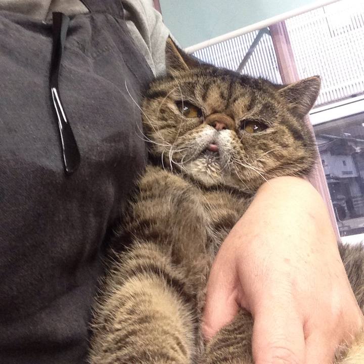 4c930563 bc28 41e0 9cc8 27239777a8d2