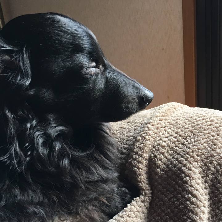 4c93d478 7011 4666 9003 d3d72a62d335