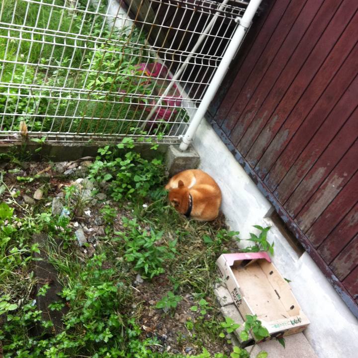 4c9410e0 c19c 4453 8383 20f340fc1f28