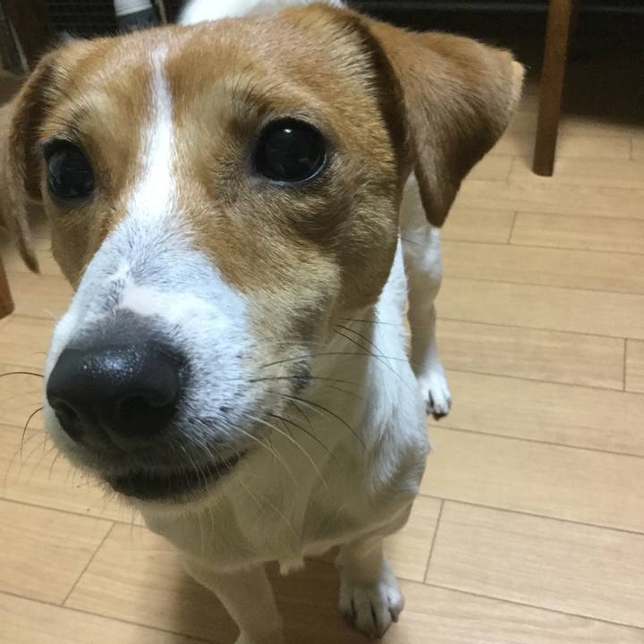 4c946cbb 67c9 4650 8a14 7efe89a7b5f6