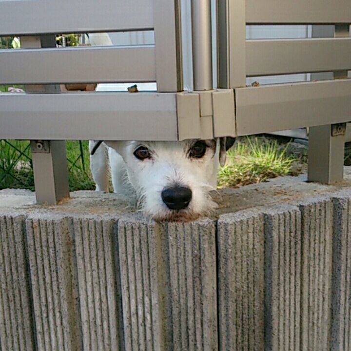 4c947e50 0fe9 41ae a4fe c828f1d0b8e2