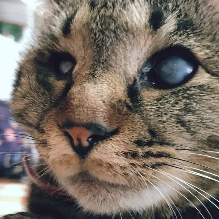 4c952d84 caa1 44da 9d2a 9214ff2b9565