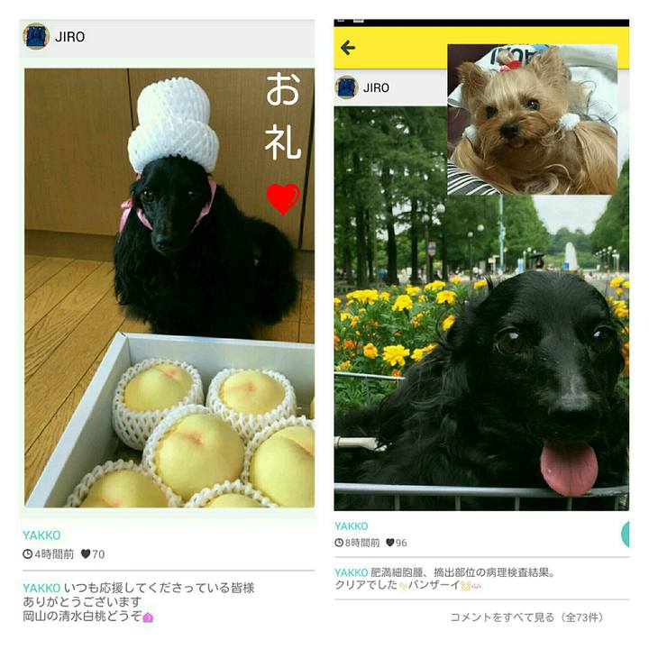 4c96310e 7c73 4fbd aeb9 eda4445c081d