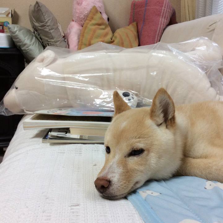 4c9652ad b847 4415 b64a 4cdf5649813d