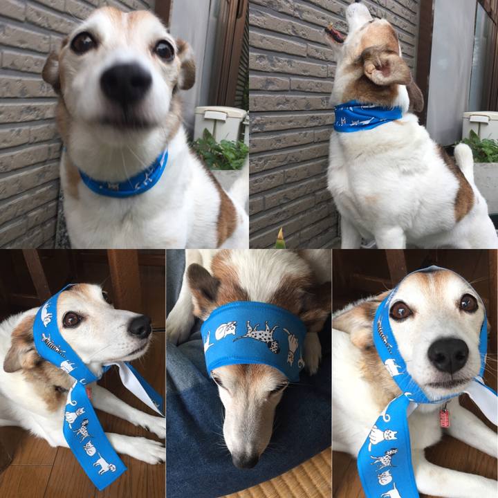 4c965863 1fe7 42e9 874a 813dc050d014