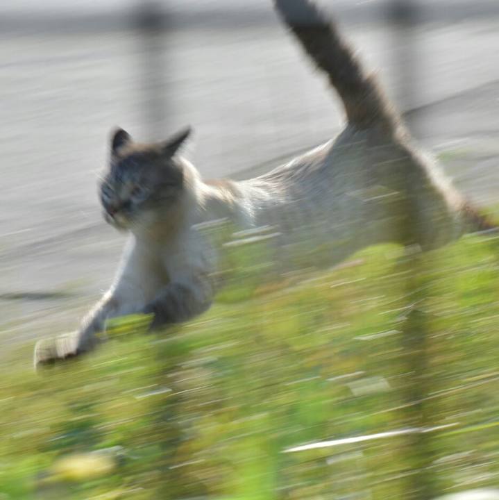 4c96598f bce2 4dfd b0d8 dff68c645cec