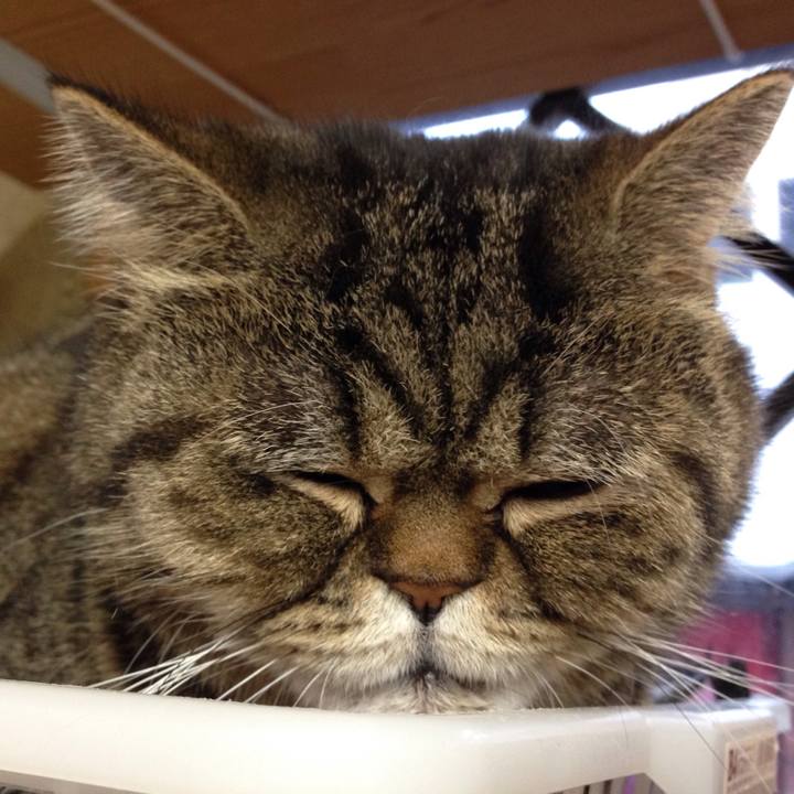 4c973176 58dd 4ce4 a676 0bf4ce9394ef