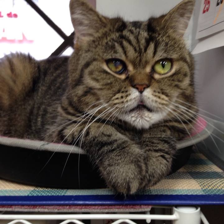 4c97b375 222b 48fa a360 b0f28edbfa06